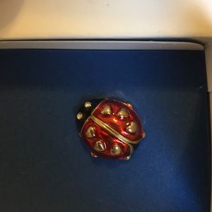 Ladybug “love bug” pin